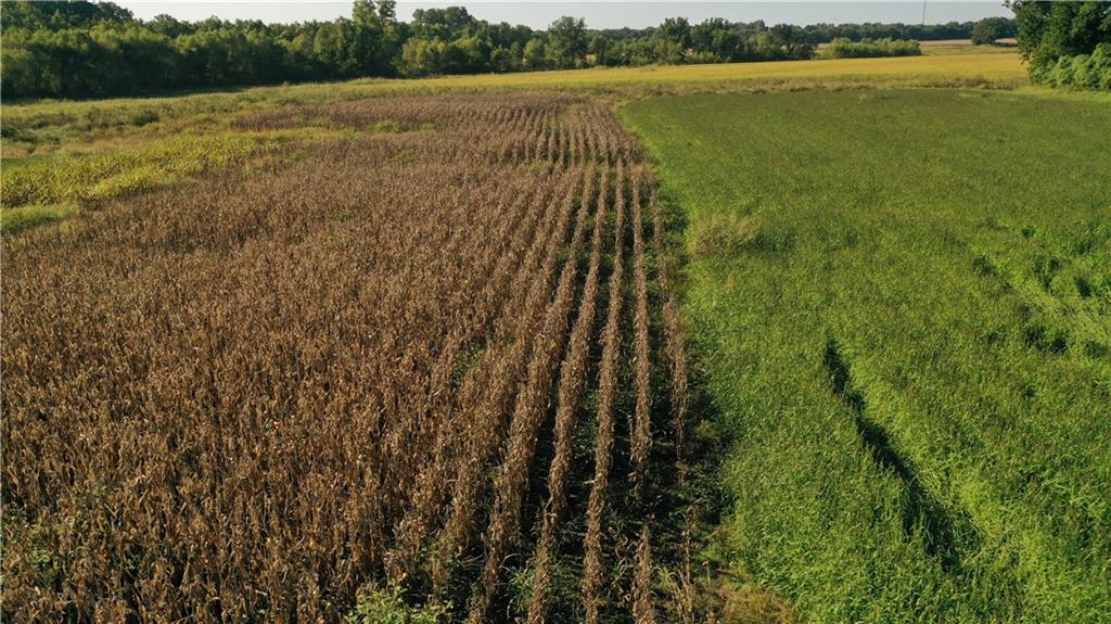 17440 115th Road Erie, KS 66733 - Photo 52 of 84