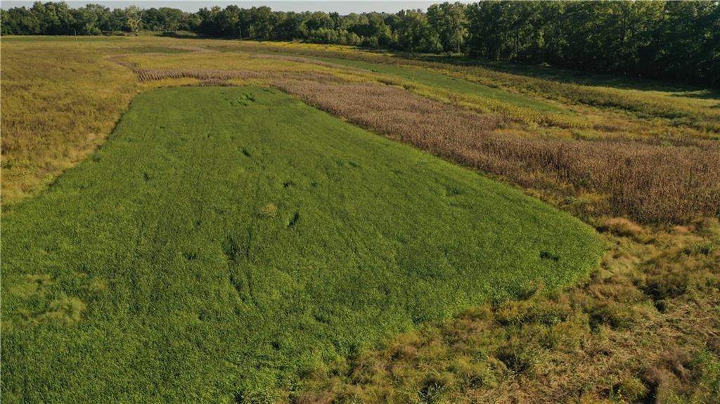 17440 115th Road Erie, KS 66733 - Photo 53 of 84