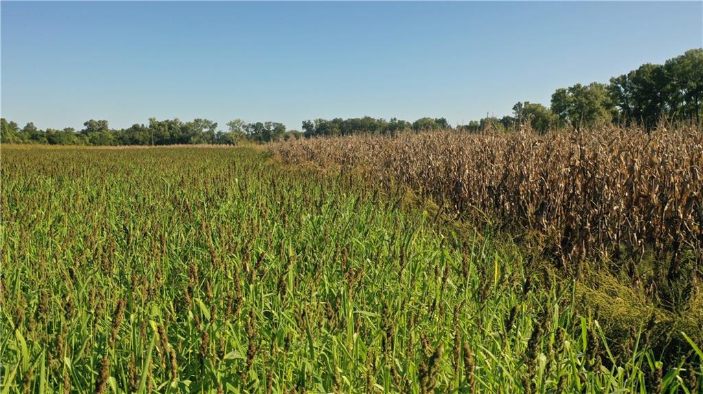 17440 115th Road Erie, KS 66733 - Photo 55 of 84
