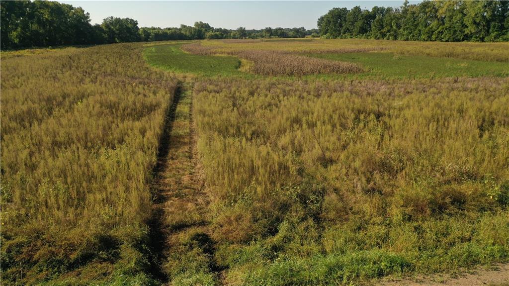 17440 115th Road Erie, KS 66733 - Photo 60 of 84