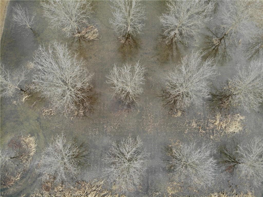 17440 115th Road Erie, KS 66733 - Photo 6 of 84