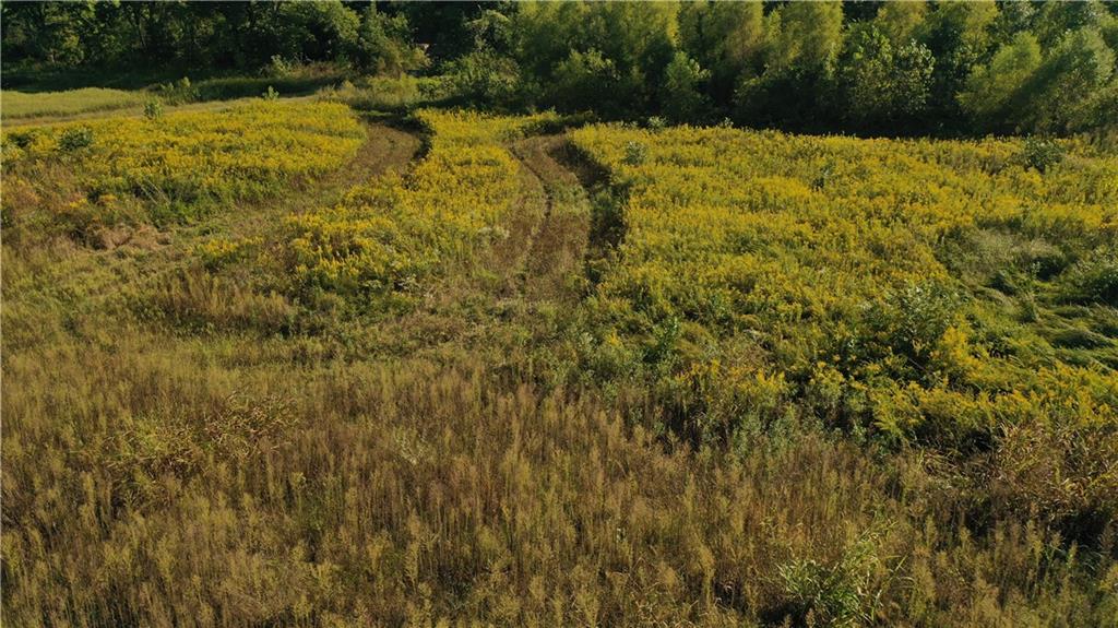 17440 115th Road Erie, KS 66733 - Photo 62 of 84