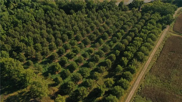 $1,112,875 | 17440 115th Road, Erie, KS 66733