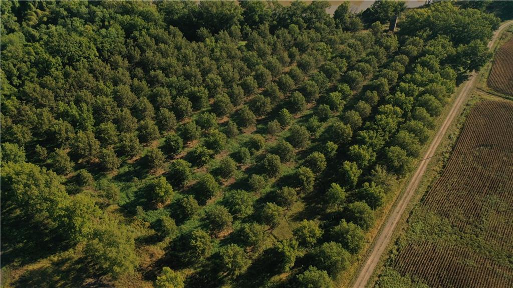 17440 115th Road Erie, KS 66733 - Photo 70 of 84