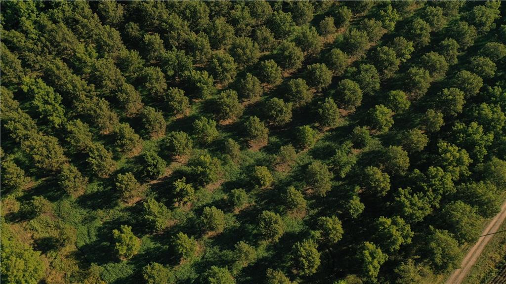 17440 115th Road Erie, KS 66733 - Photo 72 of 84