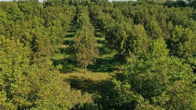 $1,112,875 | 17440 115th Road, Erie, KS 66733