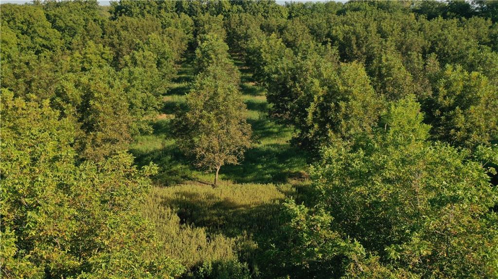 17440 115th Road Erie, KS 66733 - Photo 73 of 84