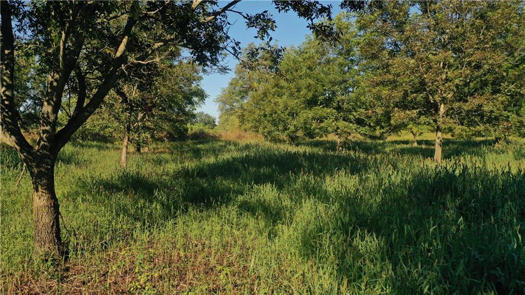 17440 115th Road Erie, KS 66733 - Photo 74 of 84