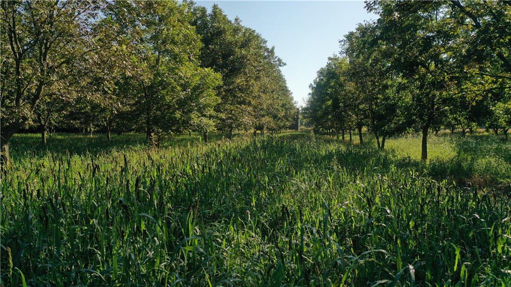 17440 115th Road Erie, KS 66733 - Photo 75 of 84