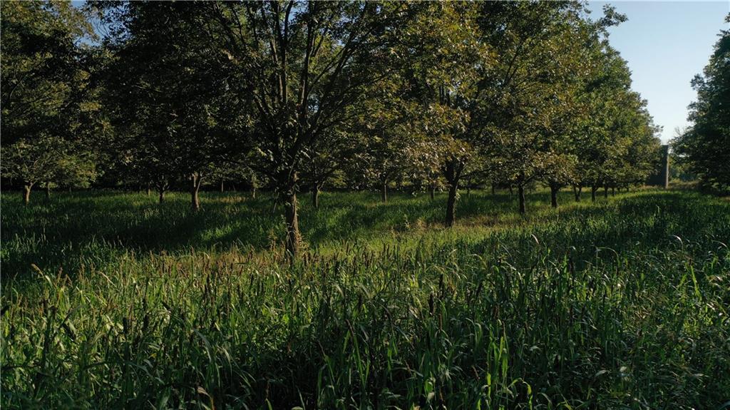 17440 115th Road Erie, KS 66733 - Photo 76 of 84