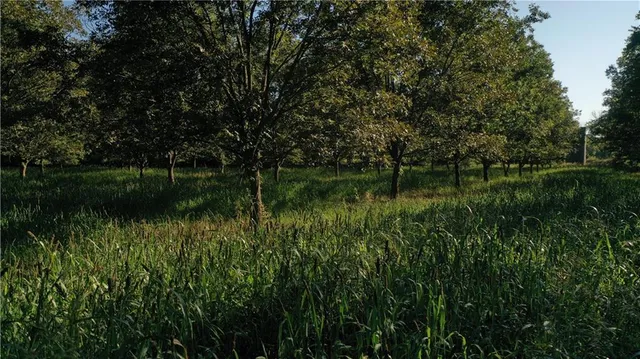 $1,112,875 | 17440 115th Road, Erie, KS 66733