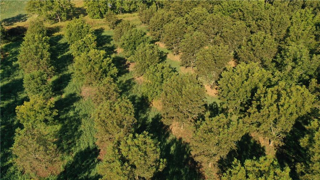 17440 115th Road Erie, KS 66733 - Photo 77 of 84