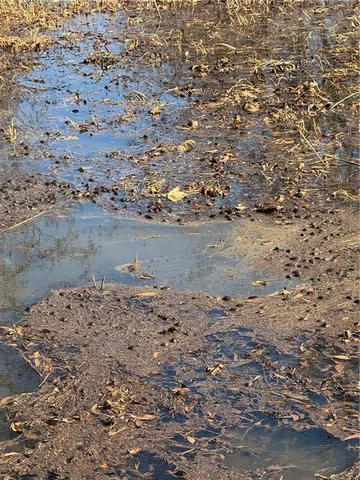 $1,112,875 | 17440 115th Road, Erie, KS 66733