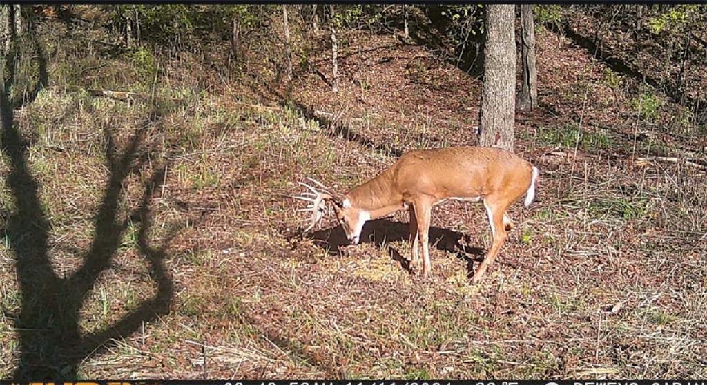 17440 115th Road Erie, KS 66733 - Photo 10 of 84