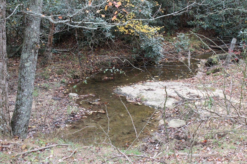 Tbd Terry's Mill Road, Unit 121A61 Laurel Fork, VA 24352 - Photo 16 of 71 Gallery Image 16