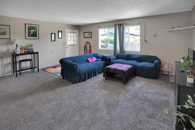 a living room with furniture window and a potted plant on table