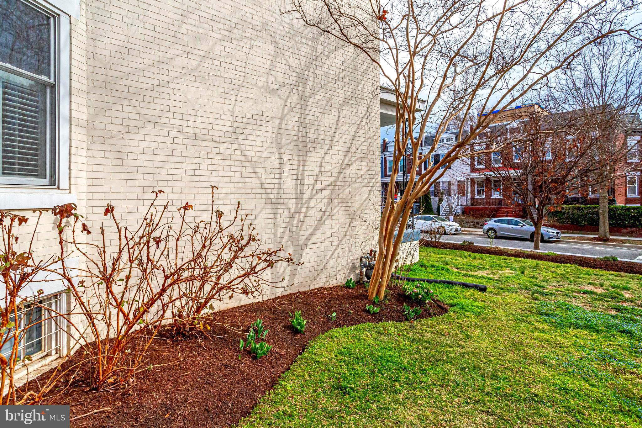 1300 C Street Northeast Washington, DC 20002 - Photo 57 of 62 Side yard getting ready for Spring