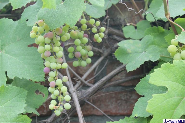 517 St Albans Road San Gabriel, CA 91775 - Photo 32 of 36 Additional Photo