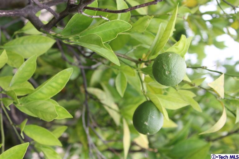 517 St Albans Road San Gabriel, CA 91775 - Photo 33 of 36 Additional Photo