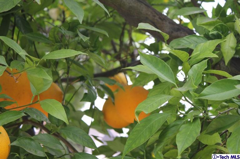 517 St Albans Road San Gabriel, CA 91775 - Photo 34 of 36 Additional Photo