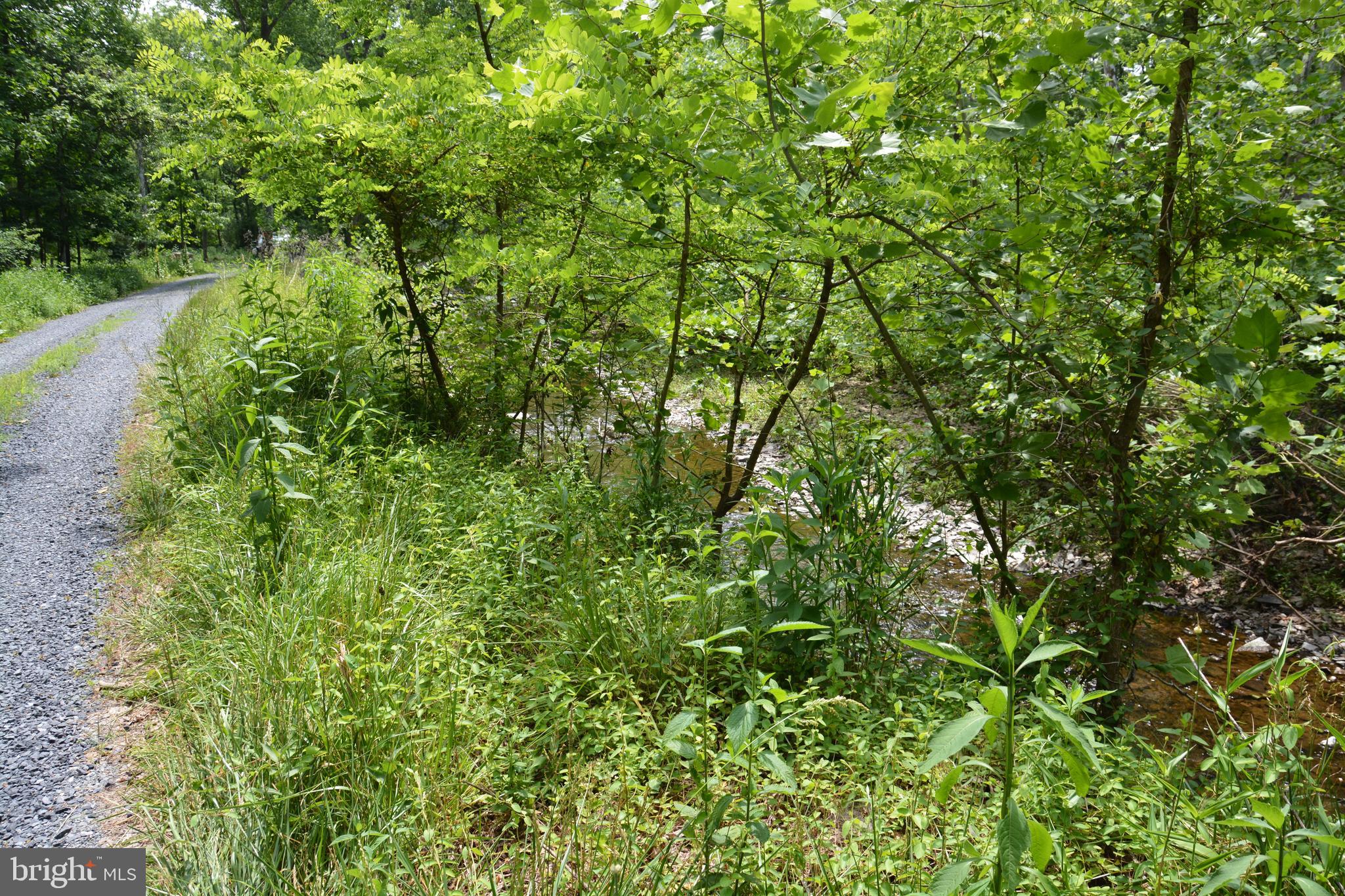 Two Lots On Siler Road Winchester, VA 22603 - Photo 9 of 38 a view of a lush green forest
