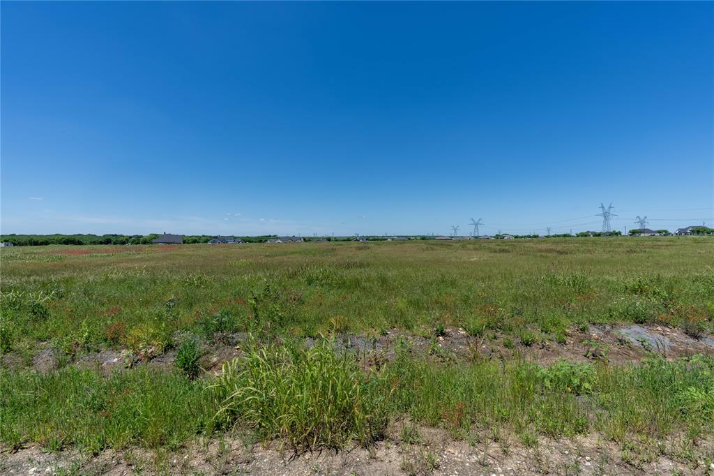 7257 Tom Trail Krum, TX 76249 - Photo 6 of 13