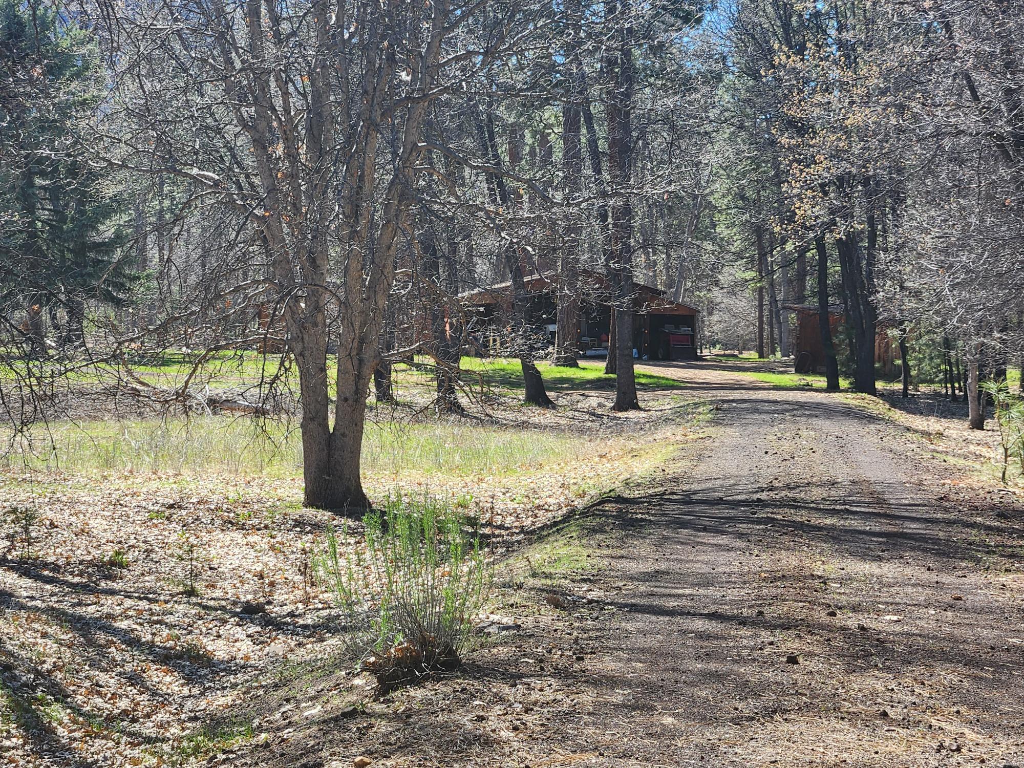 41077 Last Chance Lane Fall River Mills, CA 96028 - Photo 25 of 42 a view of a yard with swimming pool