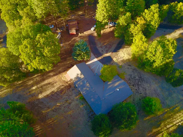 a picture of flowers