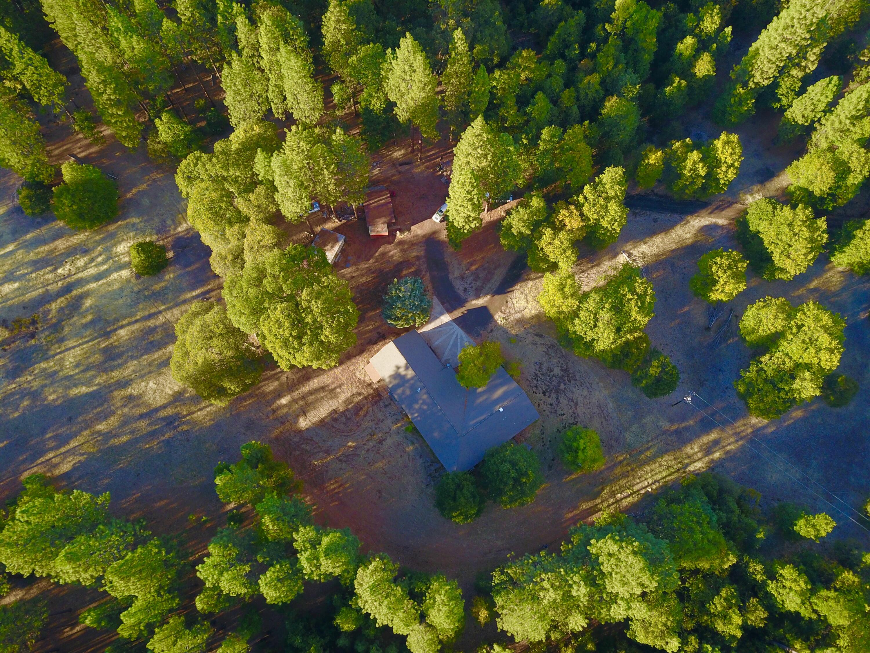 41077 Last Chance Lane Fall River Mills, CA 96028 - Photo 27 of 42 a picture of flowers