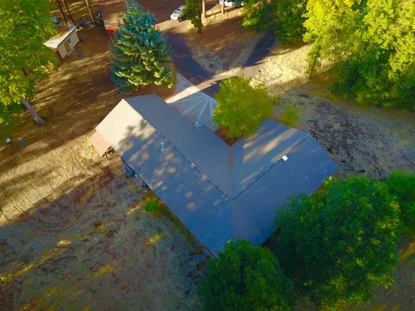 a view of a park with large trees