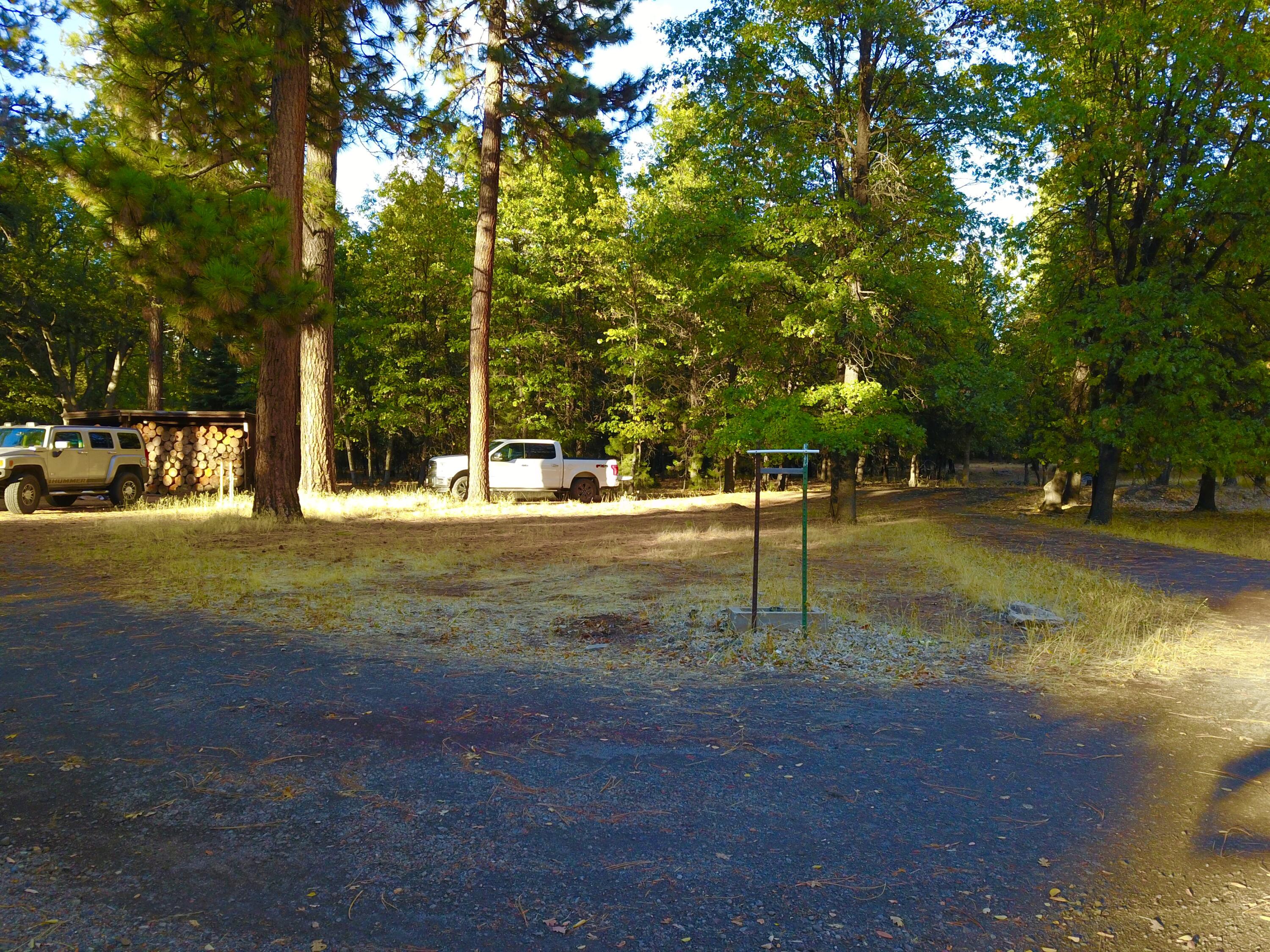 41077 Last Chance Lane Fall River Mills, CA 96028 - Photo 29 of 42 a view of a park with large trees