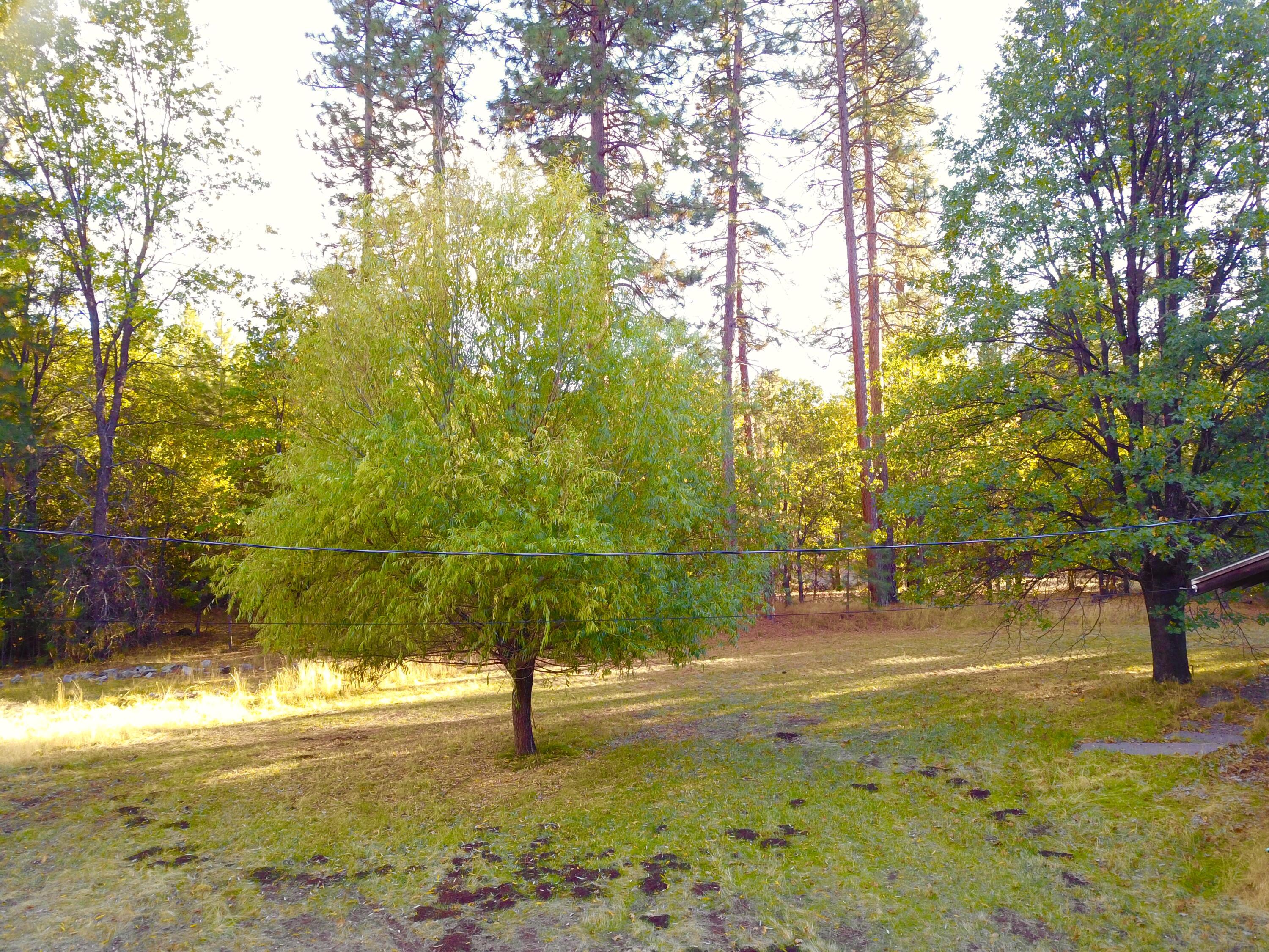 41077 Last Chance Lane Fall River Mills, CA 96028 - Photo 30 of 42 a view of an ocean view