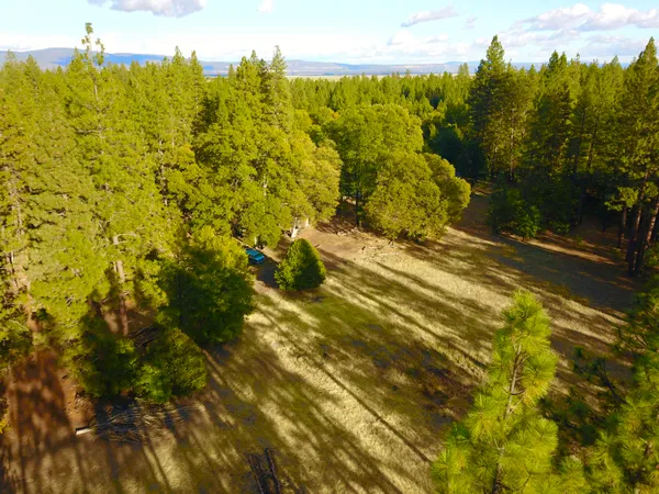 a fire hydrant in the middle of a field