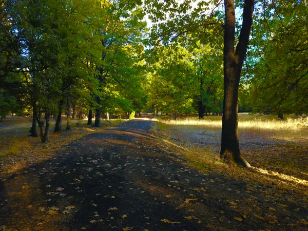 a view of yard with swimming pool and sitting area