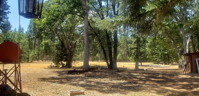 a view of a yard with a tree