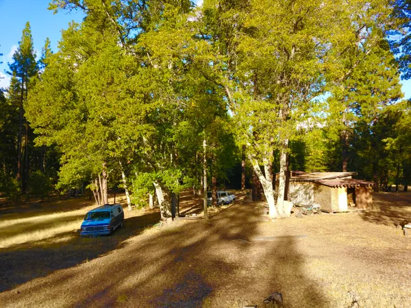 a view of road with trees