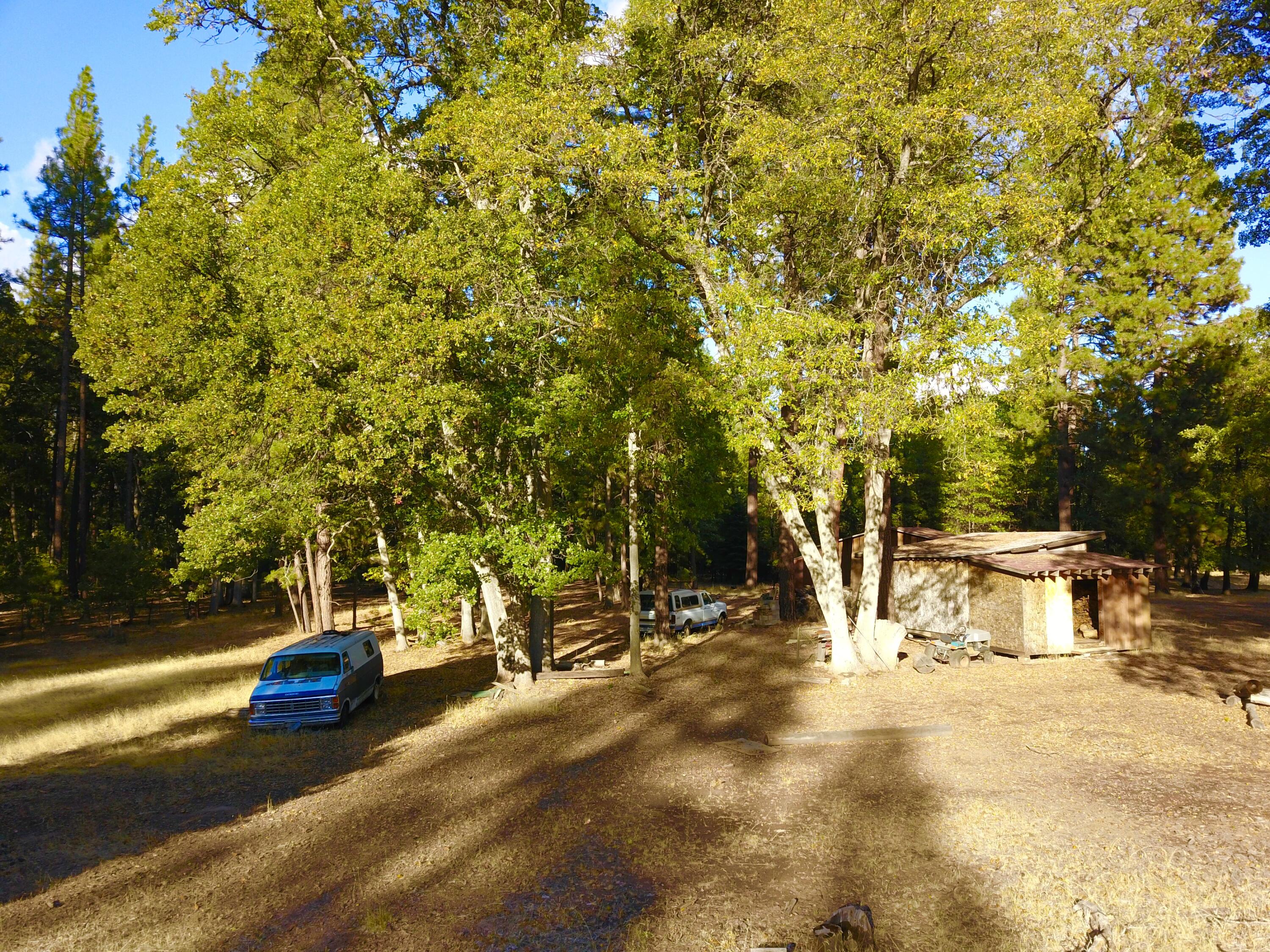 41077 Last Chance Lane Fall River Mills, CA 96028 - Photo 41 of 42 a view of yard with swimming pool and sitting area
