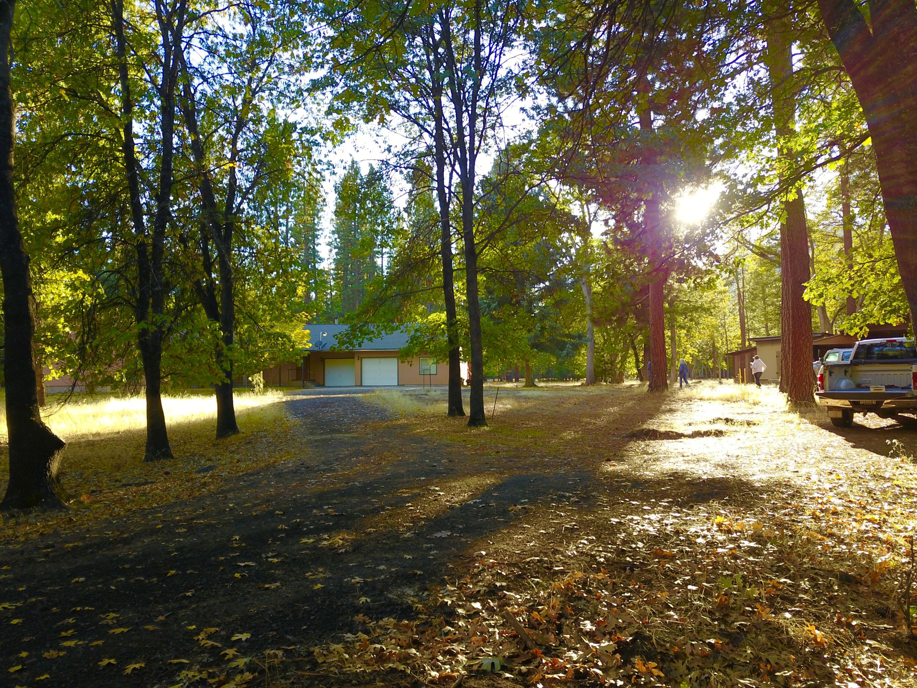 41077 Last Chance Lane Fall River Mills, CA 96028 - Photo 42 of 42 a view of road with trees