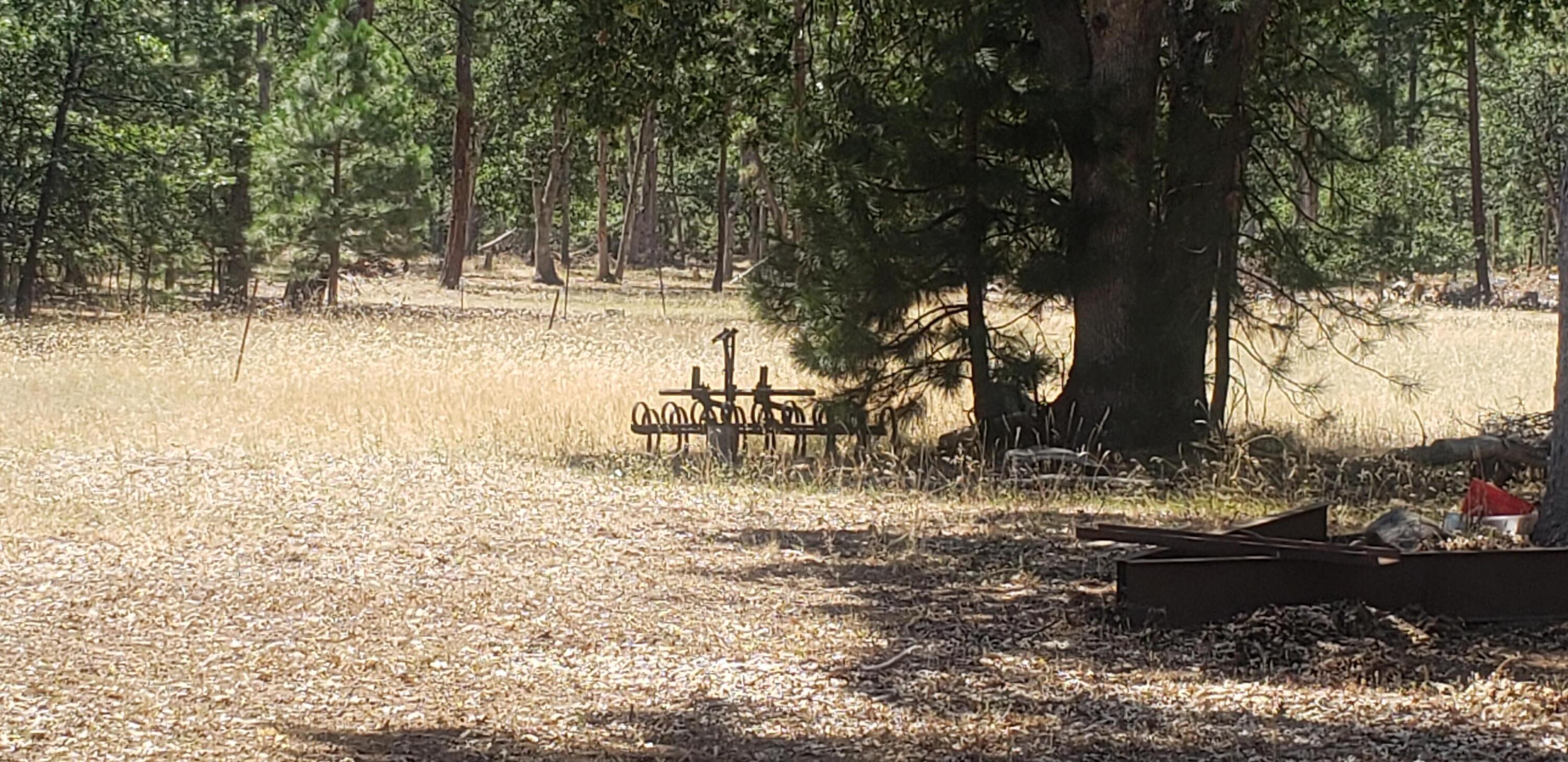 41077 Last Chance Lane Fall River Mills, CA 96028 - Photo 6 of 42 a view of swimming pool with a yard
