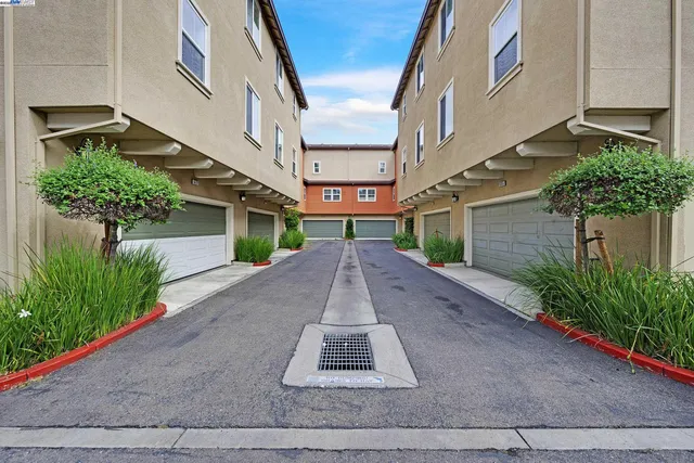 a view of a garden with a pathway