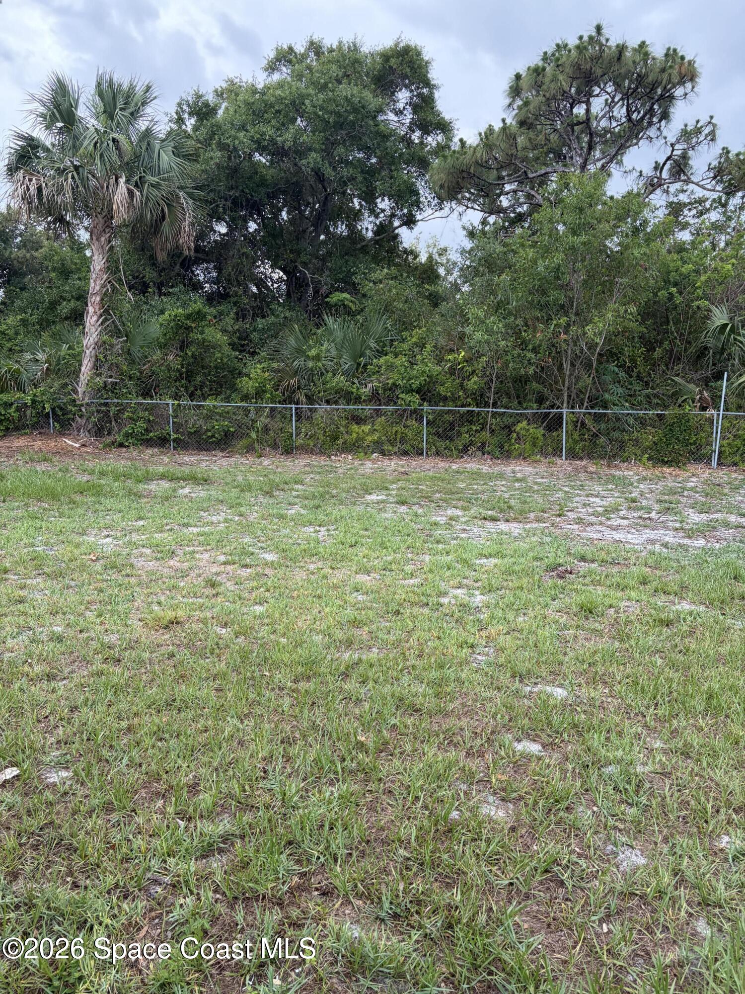 1136 Minnet Court Northeast Palm Bay, FL 32905 - Photo 12 of 31 Back yard 3 - Copy