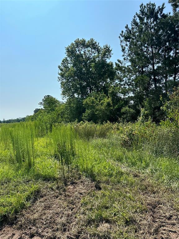 14 Cr 2315 Dayton Tx 77371  