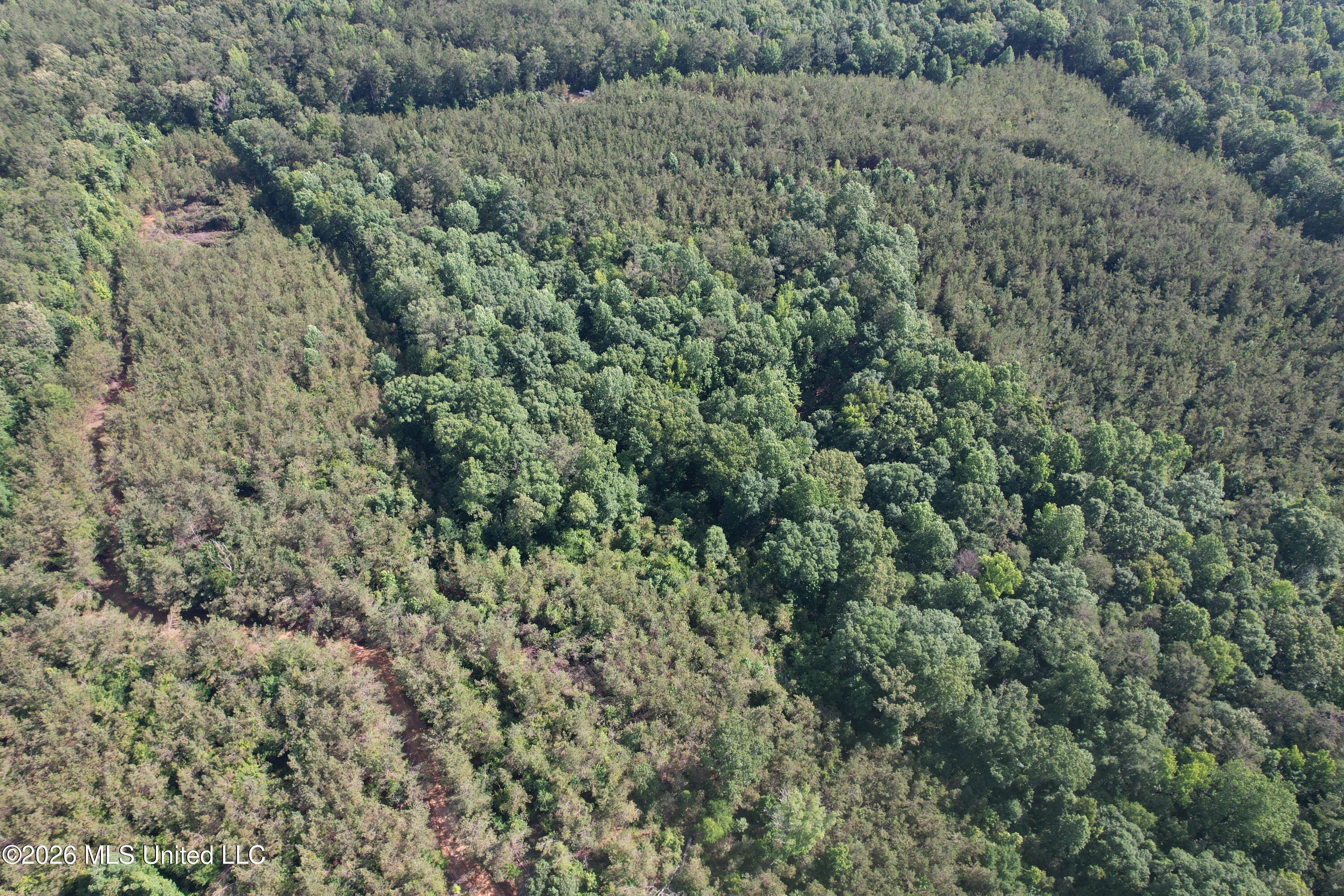 Tom Mans Road Vaiden, MS 39176 - Photo 11 of 12 DJI_0329