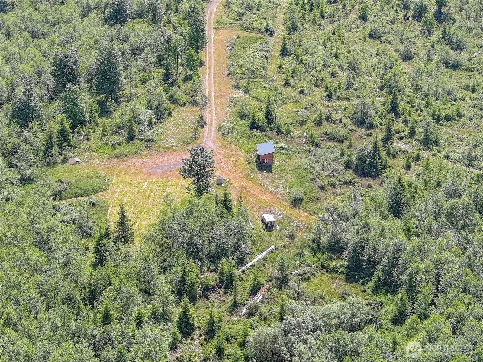 2904 Wildwood Road Quilcene, WA 98376 - Photo 20 of 39 a view of a forest with a building