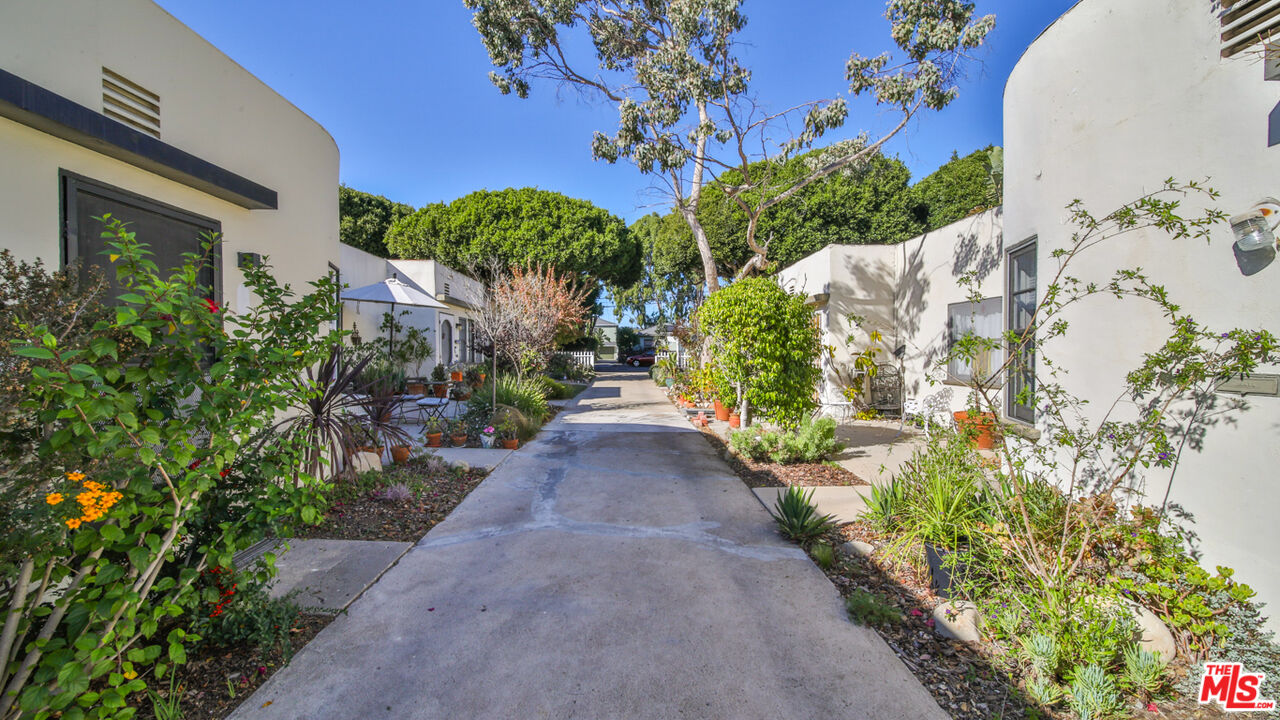 1502 Maple Street Santa Monica, CA 90405 - Photo 5 of 16 a view of a pathway with flower plants