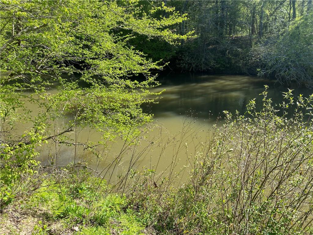 0 Twin River Orchard Road Demorest, GA 30535 - Photo 23 of 44