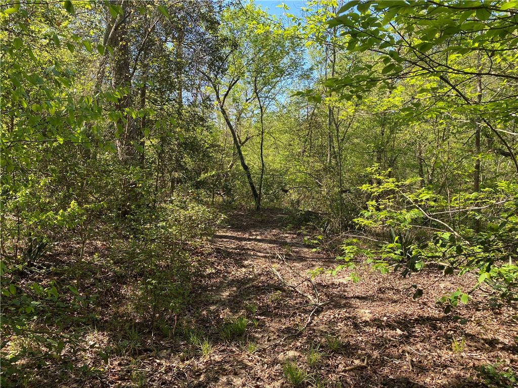 0 Twin River Orchard Road Demorest, GA 30535 - Photo 28 of 44