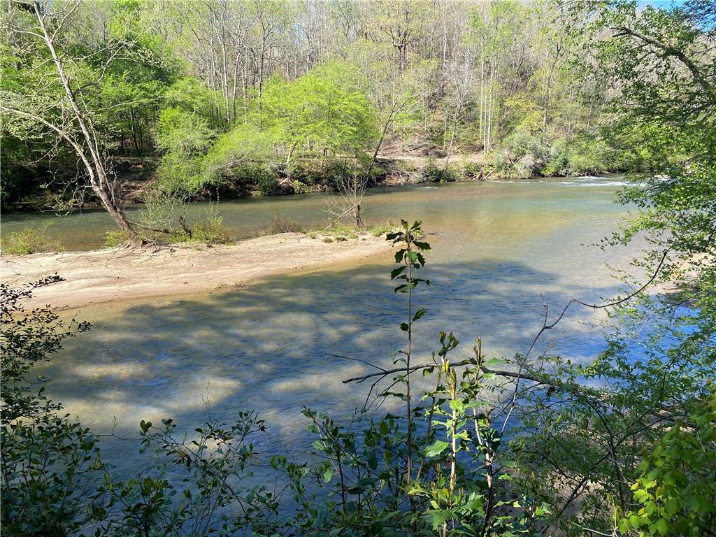 0 Twin River Orchard Road Demorest, GA 30535 - Photo 29 of 44