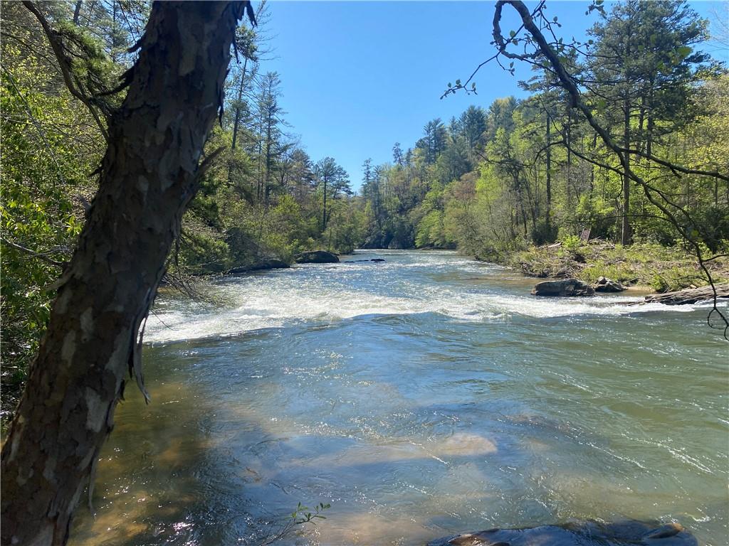 0 Twin River Orchard Road Demorest, GA 30535 - Photo 33 of 44