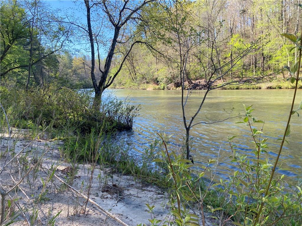 0 Twin River Orchard Road Demorest, GA 30535 - Photo 6 of 44